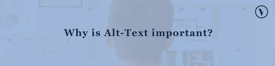 Why is alt text important | Vermilion Pinstripes Australia Singapore UK