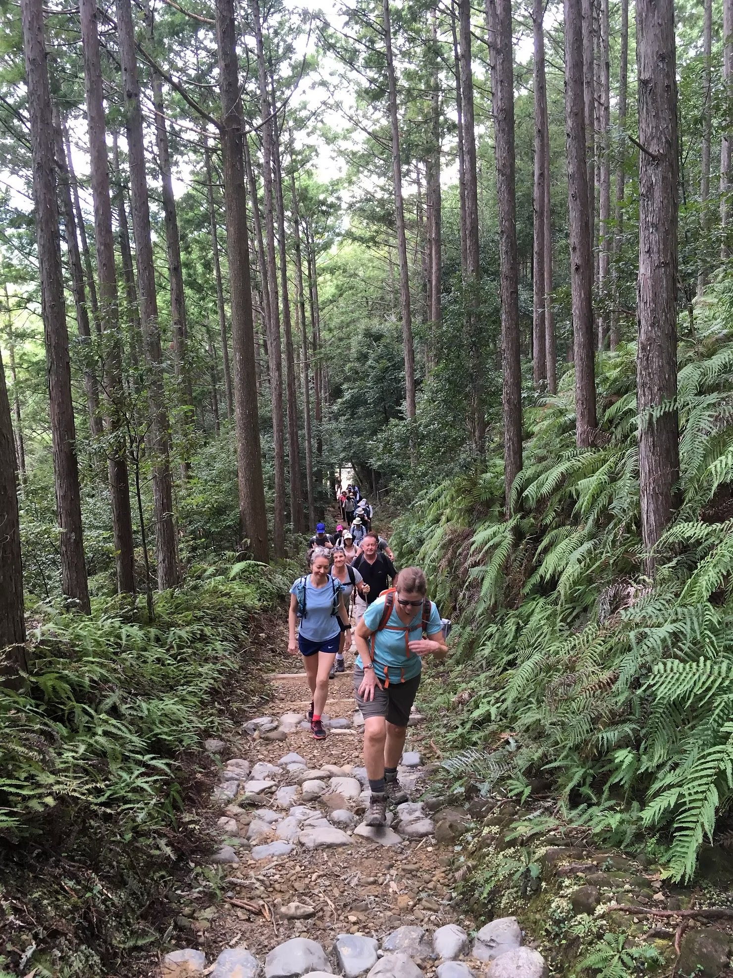 Kumano Kodo hikes  | Home Comforts Hiking | Vermillion Pinstripes