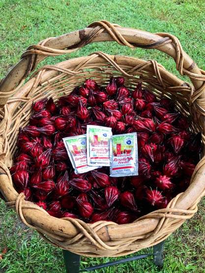 Roselle Powder My Blue Tea