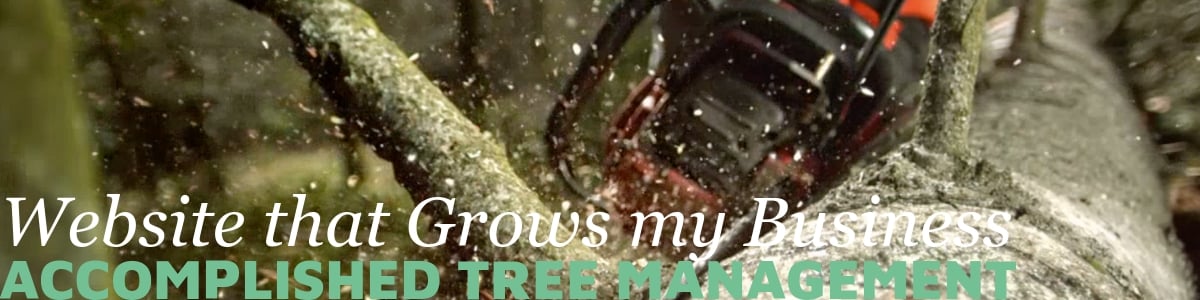 Modern websites by Vermilion Pinstripes can grow your business, Accomplished Tree Management