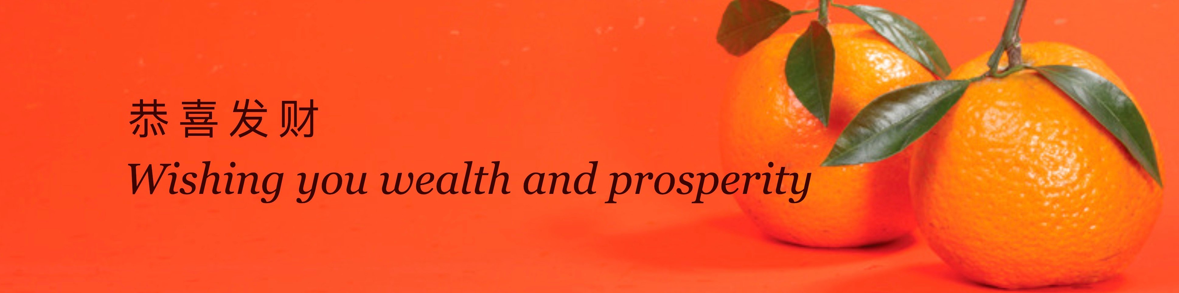 Vermilion Pinstripes wishes you wealth and prosperity in the Year of the Pig.jpg