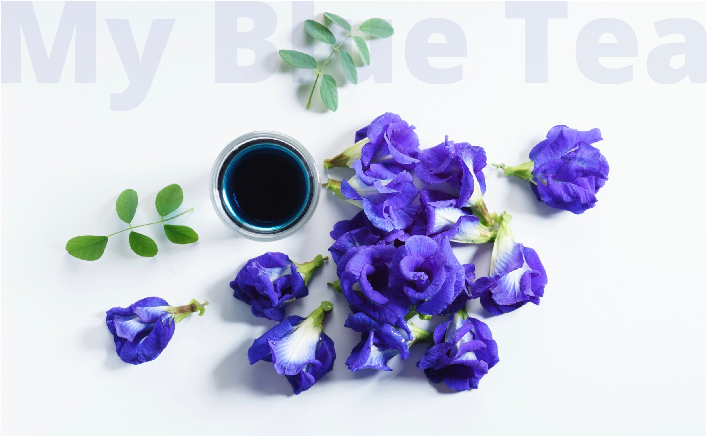 Butterfly Pea Flower Tea - Foodie's Fun - This That More