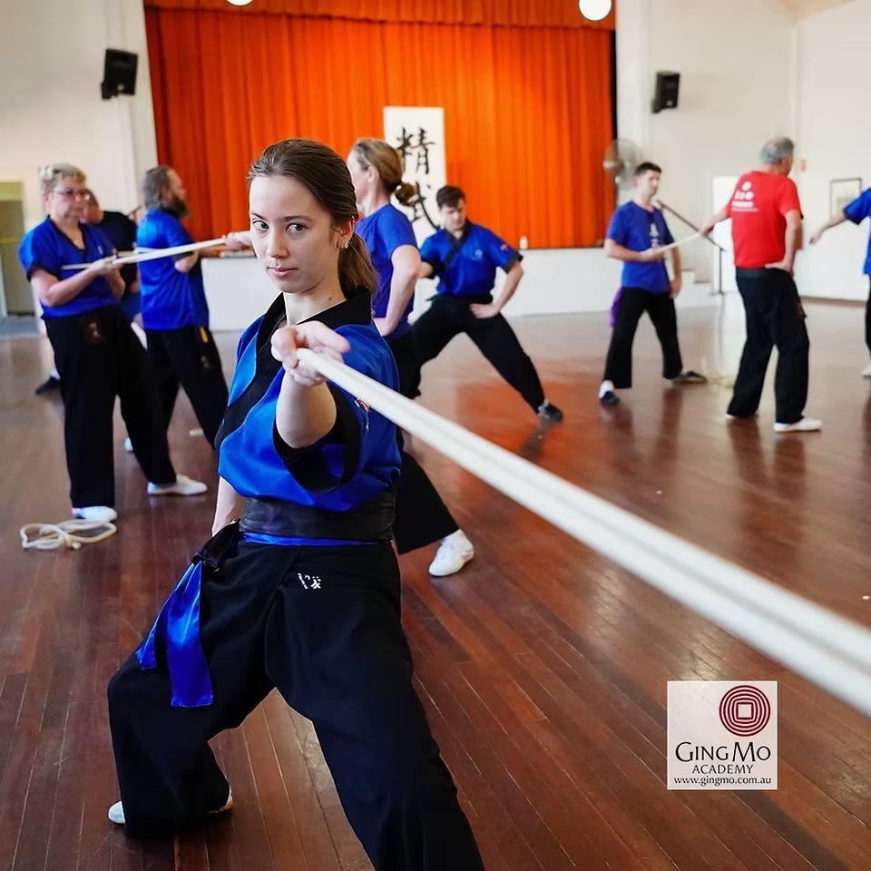 Ging Mo Academy | Vermillion Pinstripes